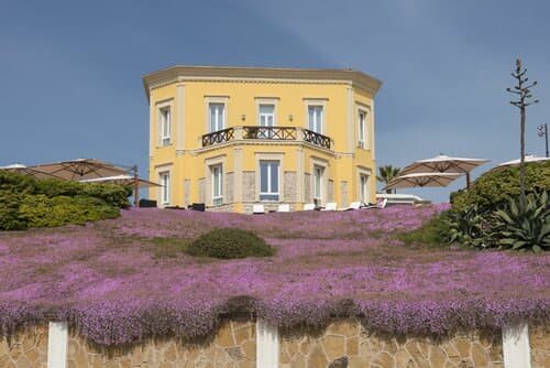 Внешний вид отеля Villa Mosca
