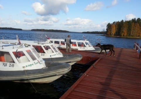 Внешний вид отеля Отель Карелия