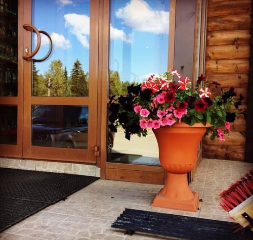 Внешний вид отеля Вилга