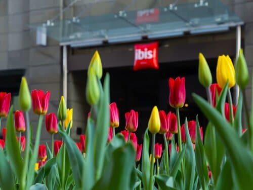 Внешний вид отеля Ibis Москва центр Бахрушина в районе Замоскворечье