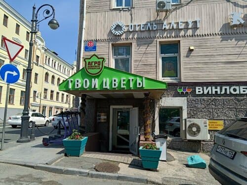 Внешний вид отеля Алеут в Фрунзенском районе