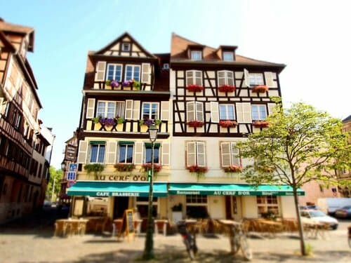 Внешний вид отеля Logis Hôtel Au Cerf d'Or в Центре