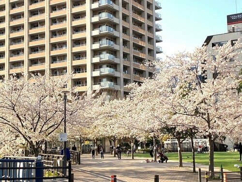 Внешний вид отеля Ryokan Sansuiso