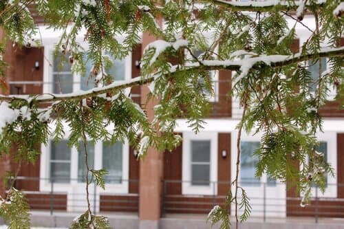 Внешний вид отеля Актёр Руза