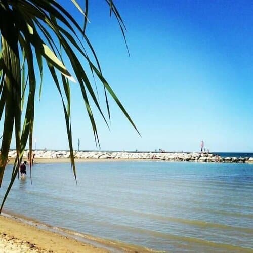 Внешний вид отеля Hotel Vienna в Беллария-Иджеа-Марине