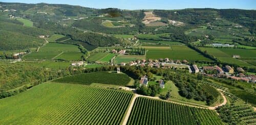 Внешний вид отеля Tenuta Delo Relais в Вероне