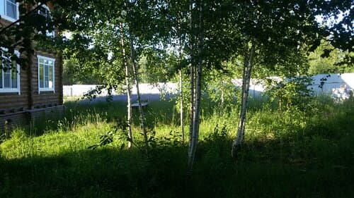 Внешний вид отеля Дом Толстый Кот