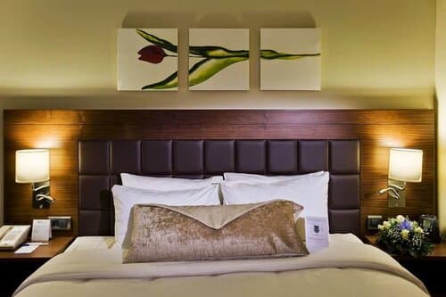 Внешний вид отеля Hilton Garden Inn Kutahya