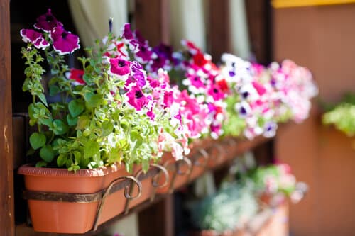 Внешний вид отеля Жемчуг Village