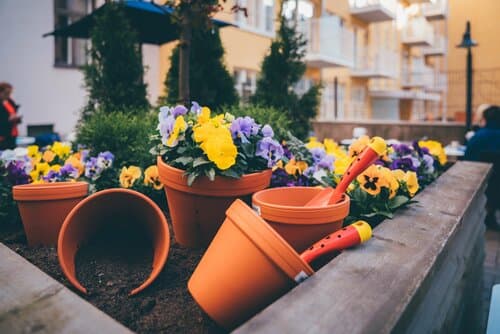 Внешний вид отеля Radisson Blu Aleksanteri Hotel Helsinki в Хельсинки